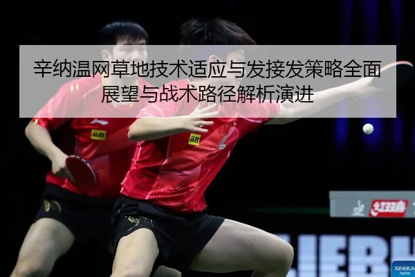 xin-na-wen-wang-cao-di-ji-shu-shi-ying-yu-fa-jie-fa-ce-lve-quan-mian-zhan-wang-yu-zhan-shu-lu-jing-jie-xi-yan-jin-2-113.jpg